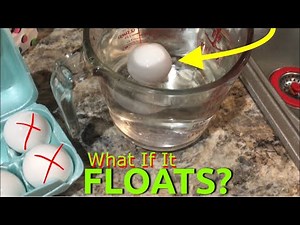 Are Eggs Bad If They FLOAT or SINK?