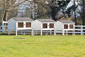 Rabbit Cage Hutch Plans - Etsy UK