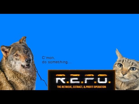 spontanius repo