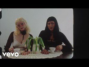 The Two Lips - something stupid (Lyric Video)