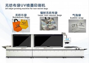 [Hot Item] Non Woven Bag Printing Machine for Laminated Bags Laser Bags