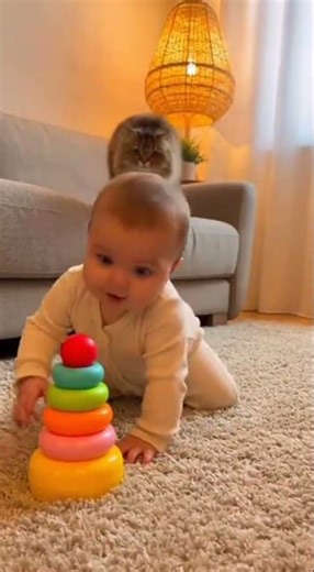 Cat's Sneaky Ambush Makes Baby Explode With Laughter!