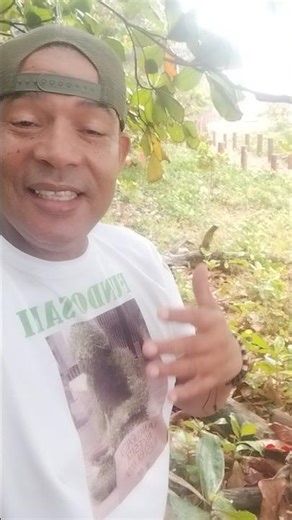 Si amas la vida, protege los bosques.