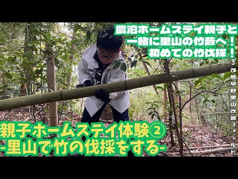 Parent-child homestay experience ② - Cutting bamboo in a Satoyama - [Satoyama regeneration, soil ...