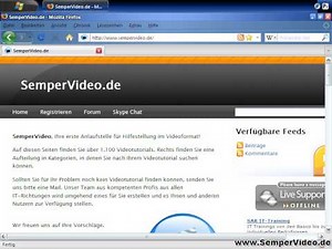 Risiko: Shockwave Flash (Teil 1 von 2)