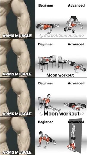 Beginner to Advanced Arm Workout 💪 | No Equipment Arms Exercise at Home | Biceps Triceps#viralvideo