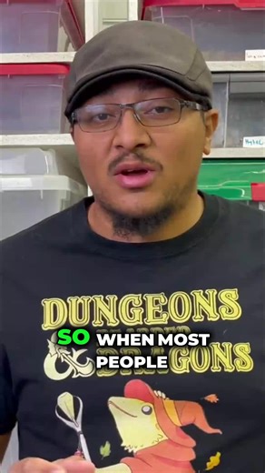 Choosing the Best Beginner Reptile: Corn Snake Insights