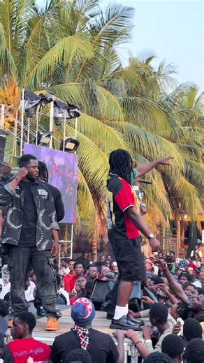 Introducing Artists from Studio0