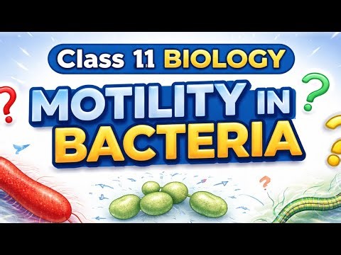 Bacteria Move Without Legs?! 😳 Motility Explained in 4 Minutes | FSC 1st Year