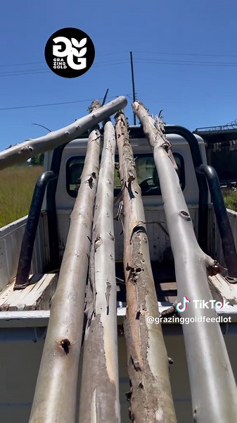 Building a Feedlot: A Day in the Life of a Young Farmer