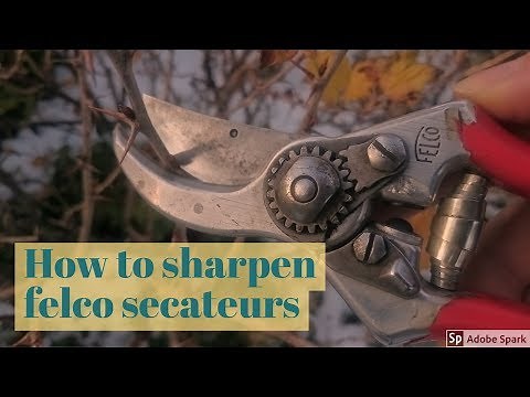 How To Sharpen felco Secateurs