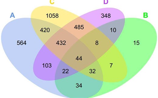 韦恩图绘制——简单实用
