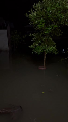 Saklap naman neto 😭 | Jack Lloyd