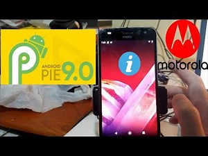 UPDATE TO ANDROID 9 | EASY