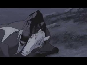 Animash *(Spirit)* Sound of Silence