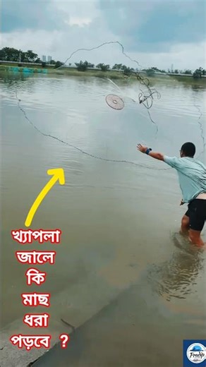 Throwing a Large Fishing Net into the River |Traditional Fishing Method #fishing #shortvideo #facts