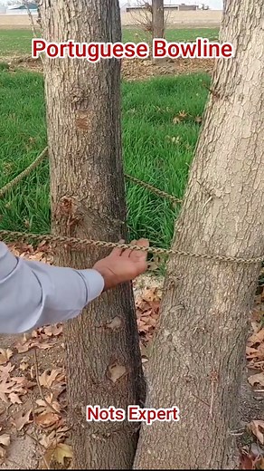 326K views · 314 reactions | Portuguese Bowline #knot #outdoors #diy #techniques #trick #tips #fyp #knottying #knottok #knots #knotok #sailor #marine #line #rope #notsexpert #howto #nudos #camping #climbing | Nots Expert | Facebook