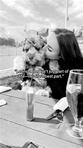 Adorable Cockapoo Puppy Moments You Can't Miss