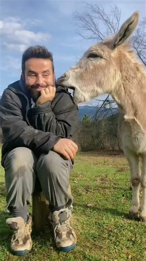 Heartwarming Bond Between Man and Donkey | Joyful Moments on the Farm