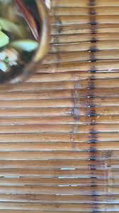 1.3M views · 10K reactions | Sa PART 2 ng BUHAY PROBINSYA TAYO AY NAGLUTO NG BINAKOL SA BUKID !!!  | Alex Gonzaga | Facebook