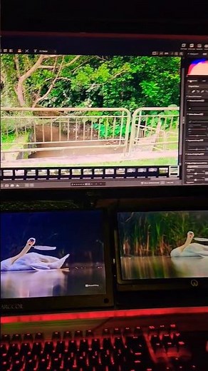 transferring pictures & videos wirelessly from my nikon z fc to pc