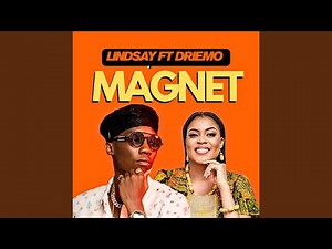 Magnet
