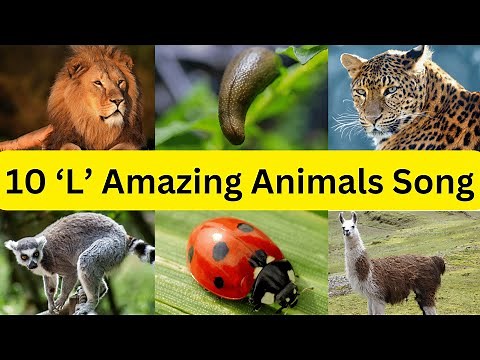 Lively L Lineup: 10 Amazing Animals Starting with 'L' Song for Kids
