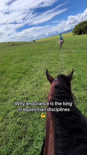 Why Endurance Riding Reigns Supreme in Equestrian Sports