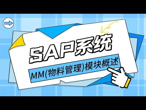 转型SAP顾问 MM模块提升课程 SAP入门学习教程