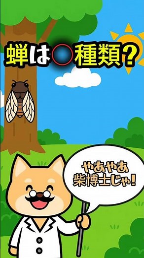 日本にいるセミ、何種類か知ってる？【解説付き・セミ雑学】