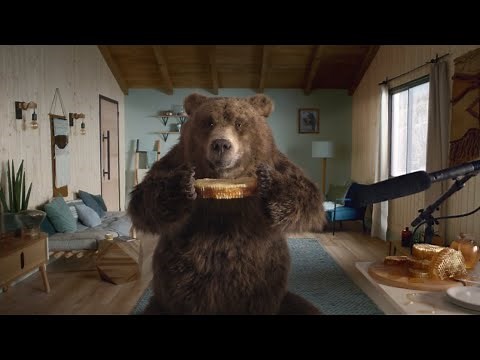EcoBubble™ Washing Machine: Bear breaks into house
