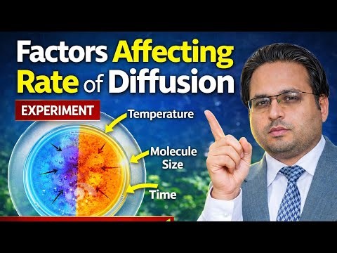 Factors Affecting Rate of Diffusion | Biology Practical Experiment | Full Marks Method 2026