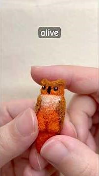 quickest owl tutorial #needlefelting