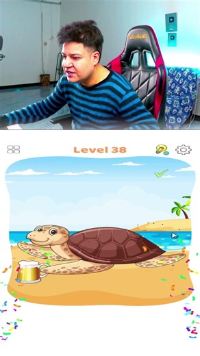 كيف رجعت صدفة السلحفاة ؟