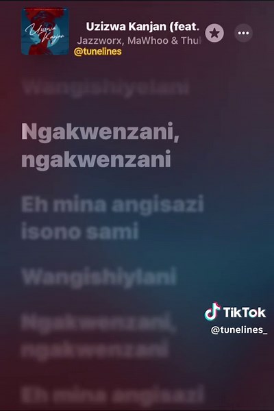 Explore Tunelines Music Compilation from South Africa