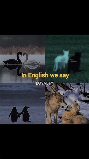 BUT IN POETRY WE SAY......||‪@Lovely_Tanu-111yt‬ #edit #poetry