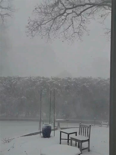 Snow Squall Hits Massachusetts with Strong Wind Gusts