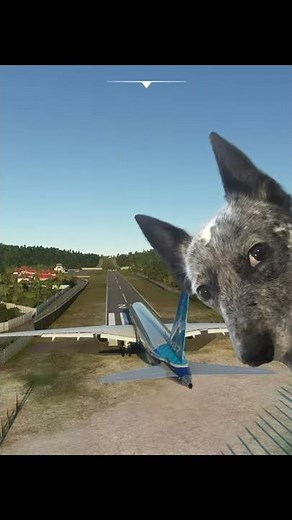 How to talk to ATC (#Shorts) Real Pilot Plays Microsoft Flight Simulator