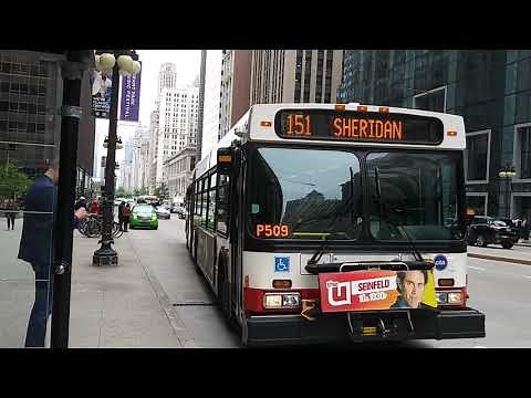 CTA Bus Action at Downtown (12) (Been a while)
