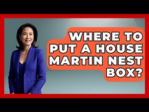 Where To Put A House Martin Nest Box? - Bird Watching Diaries