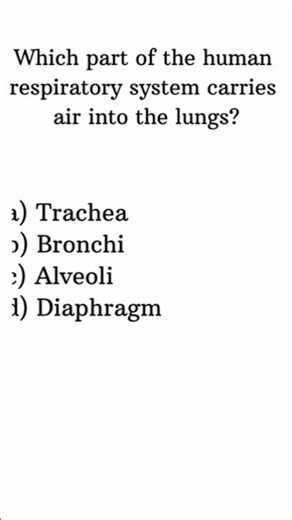 imp mcq for all exam #competitiveexams #gkquiz #impmcq #impmcq #mcq