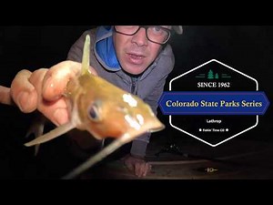 Colorado State Parks Series: E5 Lathrop #fishing