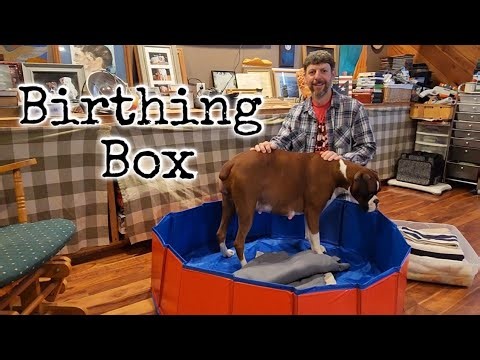 cheap whelping box for home birth