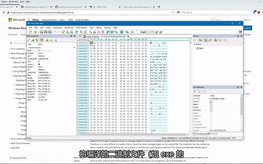 文件二进制格式