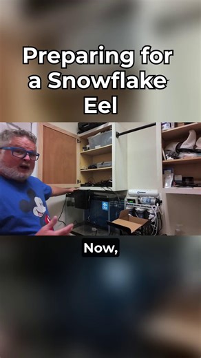3.6K views · 19 reactions | Preparing For a Snowflake Eel!!! Watch the Full Episode/Series - https://www.saltwateraquarium.com/video/newbie-tank-build-2-0/ #AquariumLife #SnowflakeEel #MarineBiology #FishKeeping #UnderwaterWorld | SaltwaterAquarium.com | Facebook