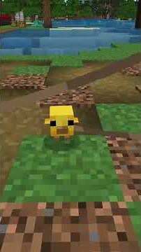 New Baby Chickens... Do They Look like Popcorn? #minecraft #gaming #survivalminecraft #chicken