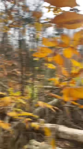 Ahh lessons learned | Joshua Spencer