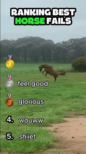 Ranking Top 5 HORSE FAILS Moments !!! 🐴 #shorts