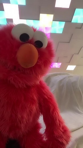 Elmos_Familie on TikTok