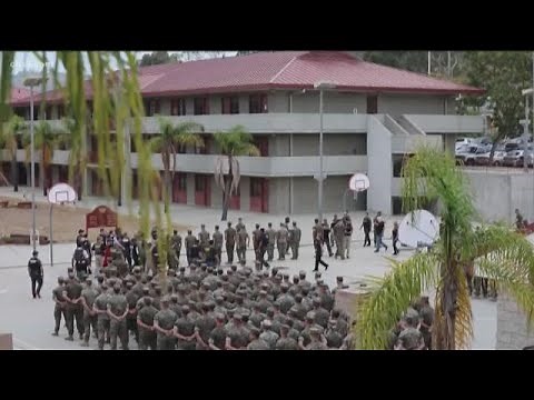 Video surfaces of Marines being arrested on Camp Pendleton